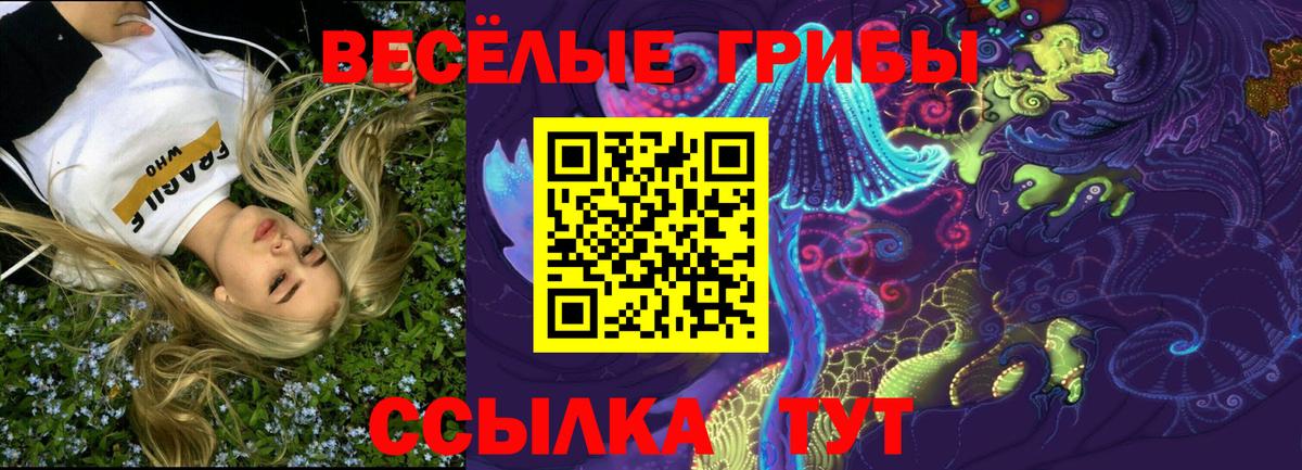 где купить наркоту  Бирск  Галлюциногенные грибы Psilocybe  Галлюциногенные грибы GOLDEN TEACHER 